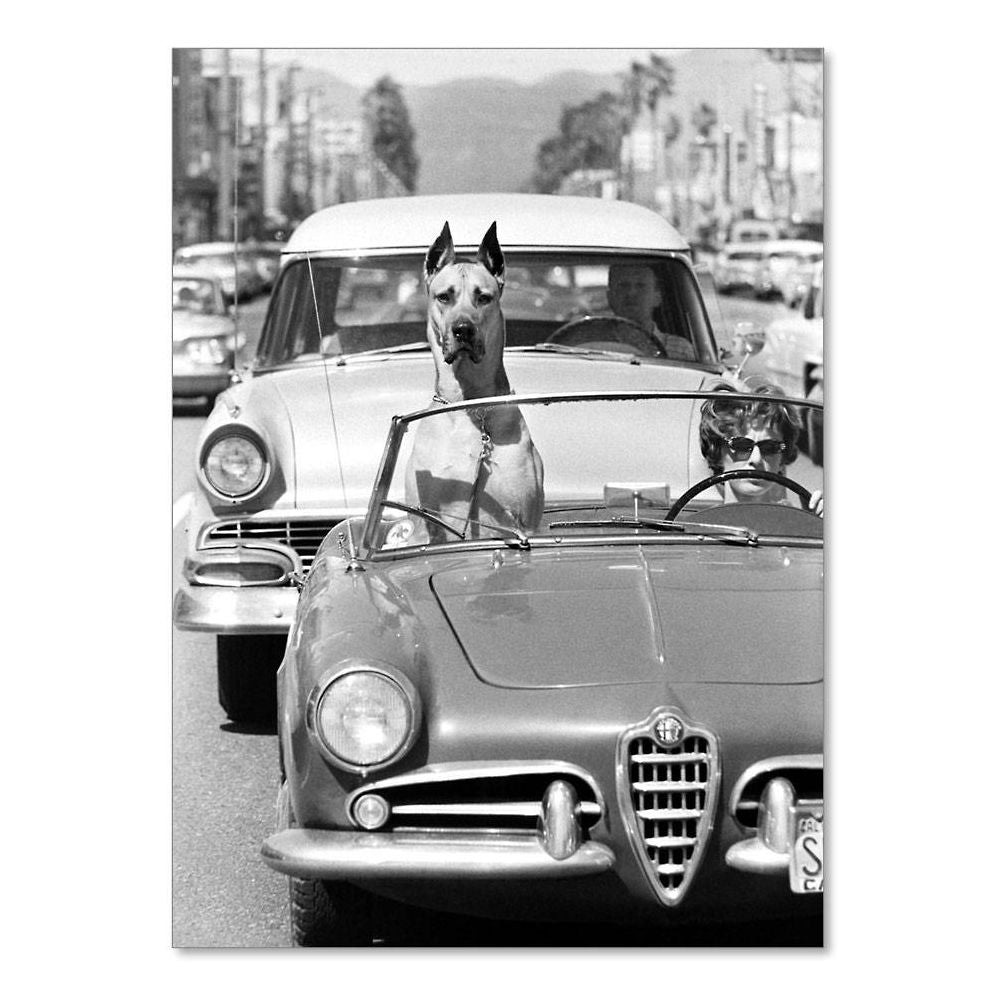 Stopping Traffic Dog Birthday Card