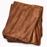 Bear Pillow Blanket