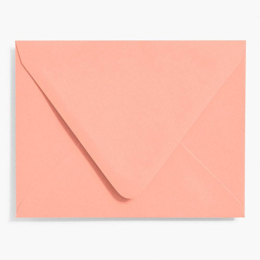 A2 Coral Envelopes