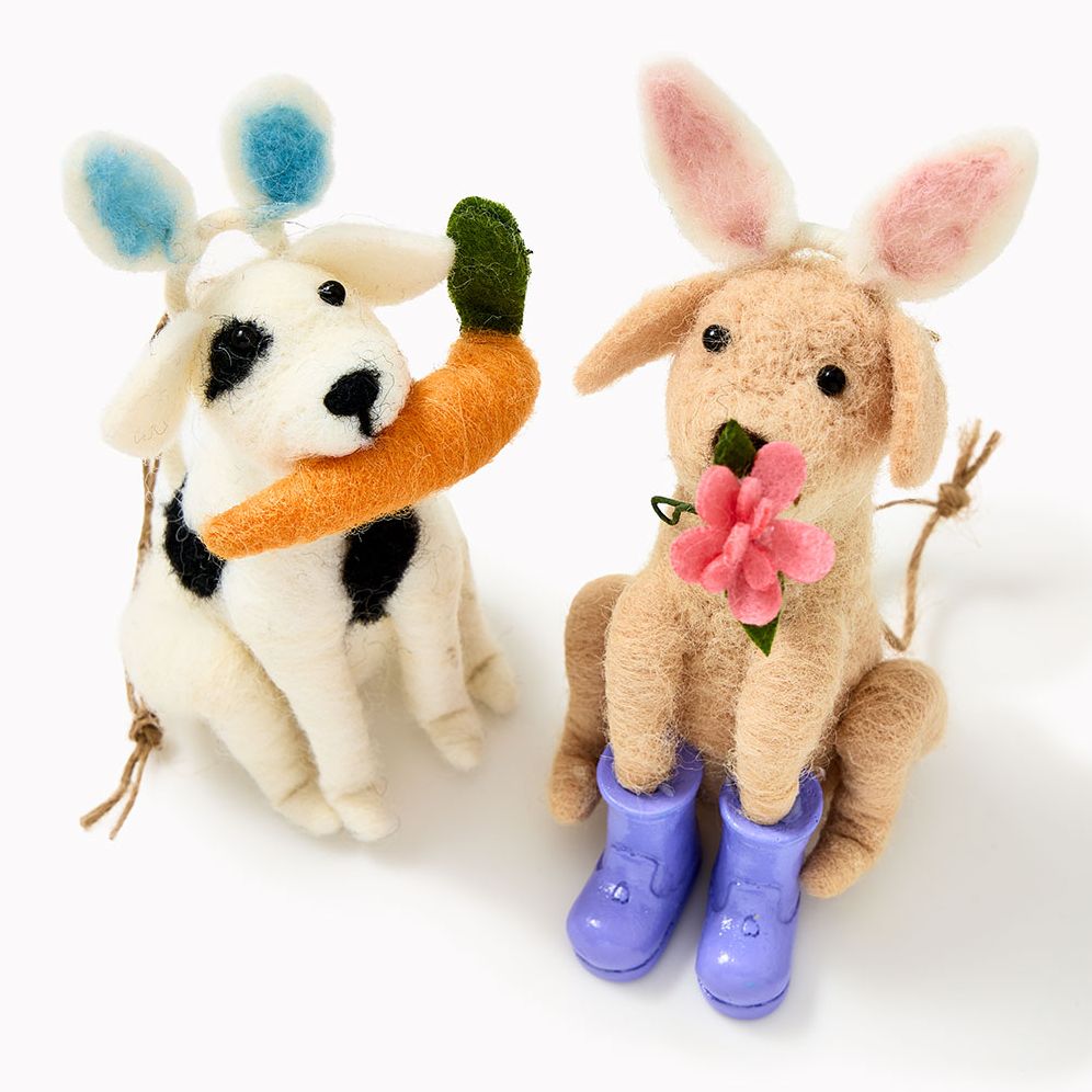 Felt Spring Critters, 2 Assorted Styles