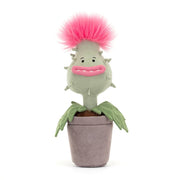 Carniflore Priscilla Plush - In Store Exclusive