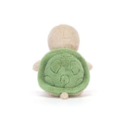 Thimble Turtle