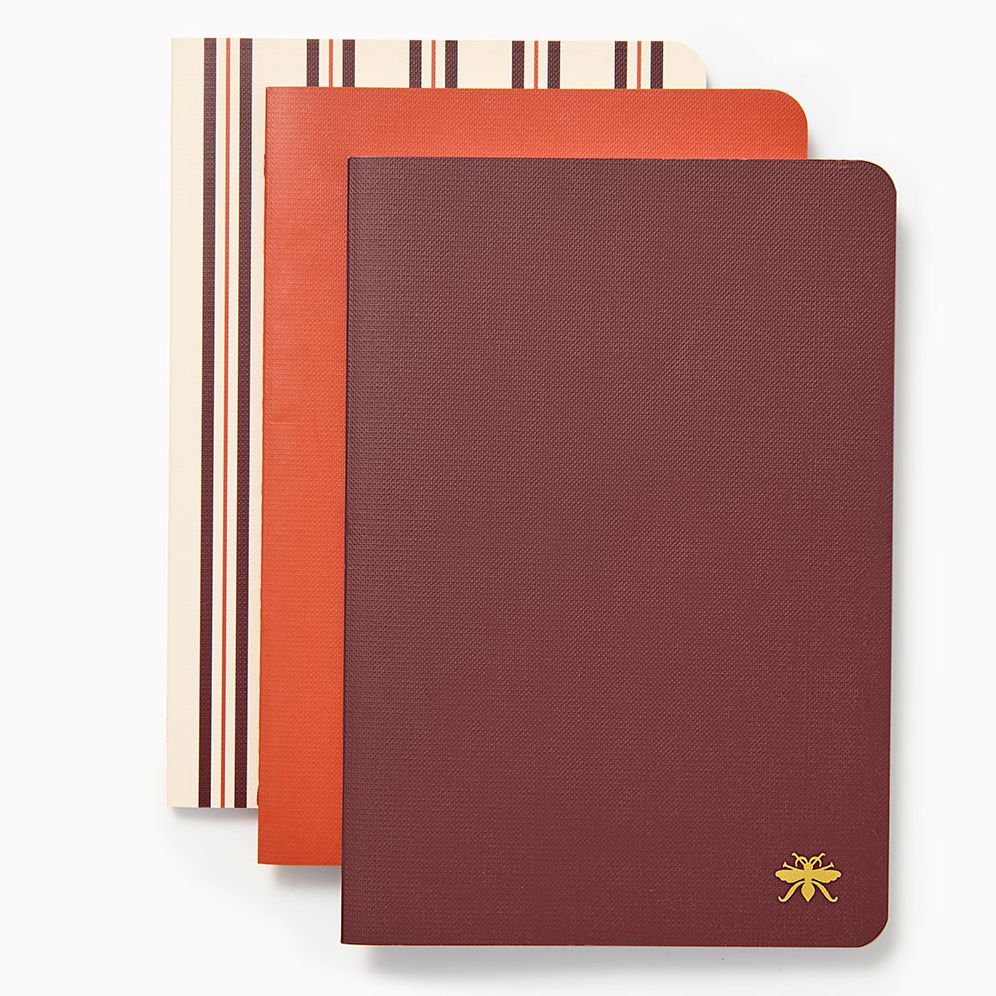 Chocolate Paper Wasp S/3 Notebooks