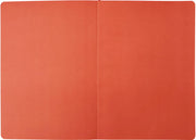 2027 Colorblock Weekly Desk Planner