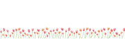PLUS Deco Rush Decoration Tape FLOWER FIELD