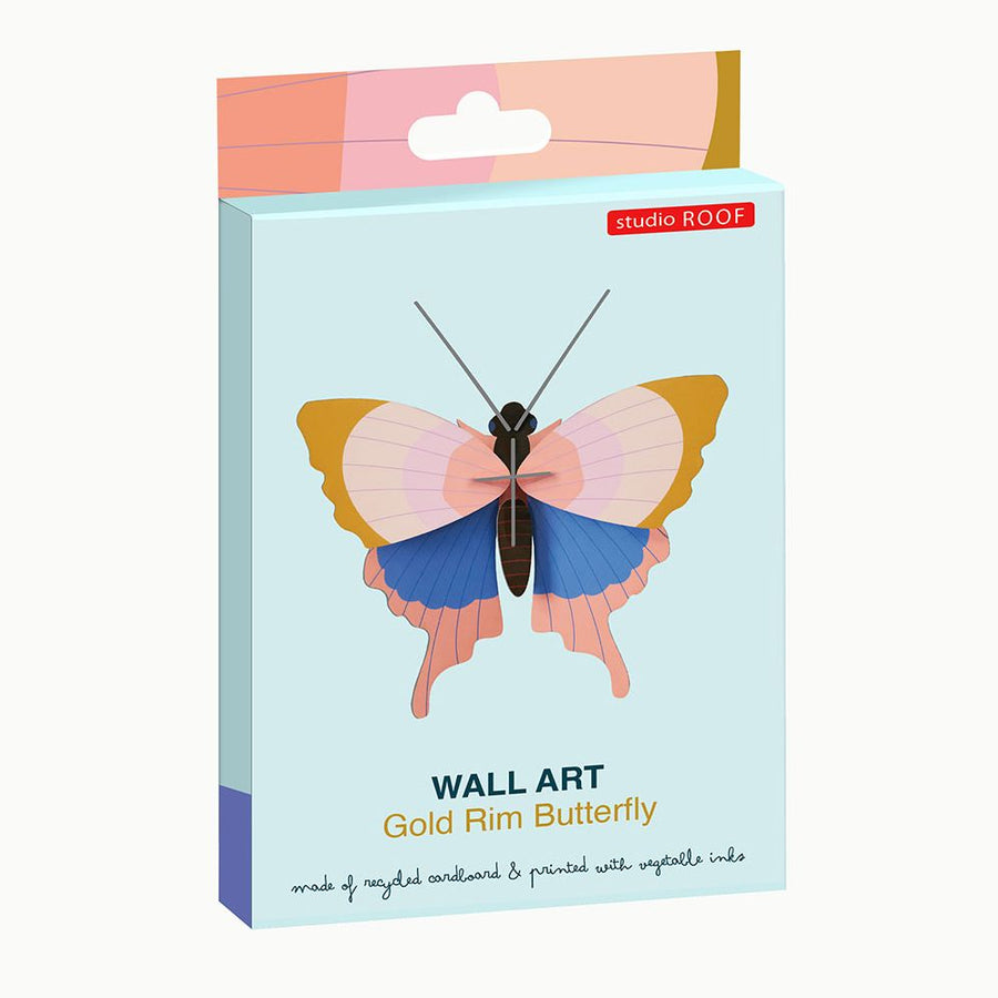 Gold Rim Butterfly