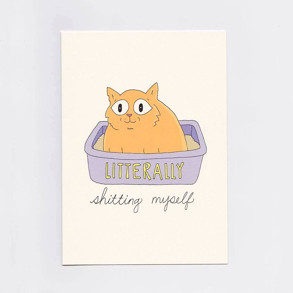 Litter Box Greeting Card