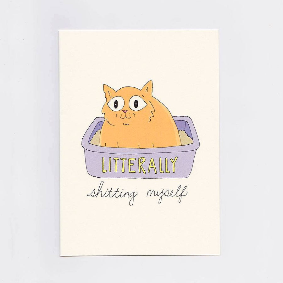 Litter Box Greeting Card