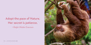 Life in the Sloth Lane: Slow Down and Smell the Hibiscus