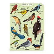 Cavallini & Co. Bird Watching Mini Notebooks