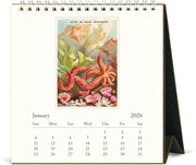 2026 Cavallini Sea Life Desk Calendar