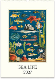 2027 Sea Life Wall Calendar