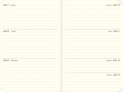 2027 Cats Weekly Pocket Planner