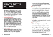 The Worst-Case Scenario Survival Handbook: Apocalypse
