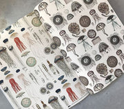 Marine - Gift & Creative Paper Book